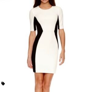 Bisou Bisou black and white body on dress, 10